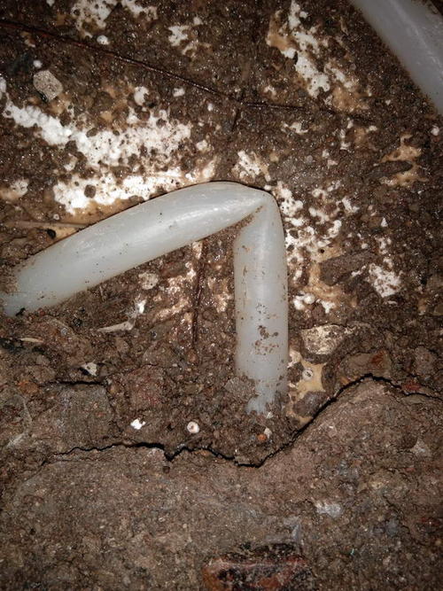 靖西堵点精准查找